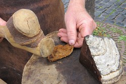 Zunderschwämme/ hist.Feuerzeuge Zunderschwämme/ hist.Feuerzeuge