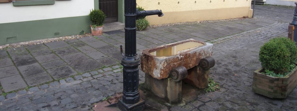 Flachsmarkt rund um Burg Linn